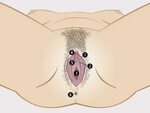 Größten schamlippen 100 Bilder einer Vulva: Jede Frau ist sc